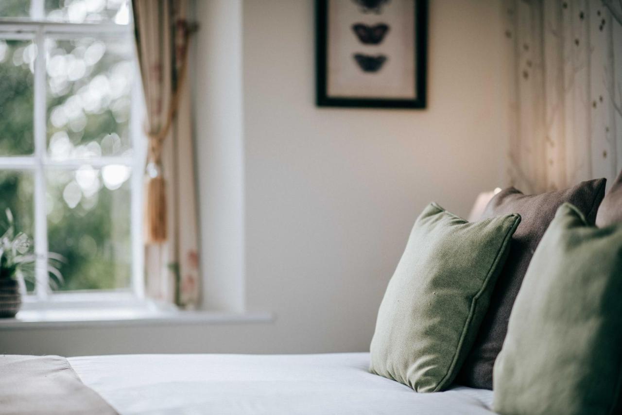 Flackley Ash Country House Hotel Peasmarsh Εξωτερικό φωτογραφία